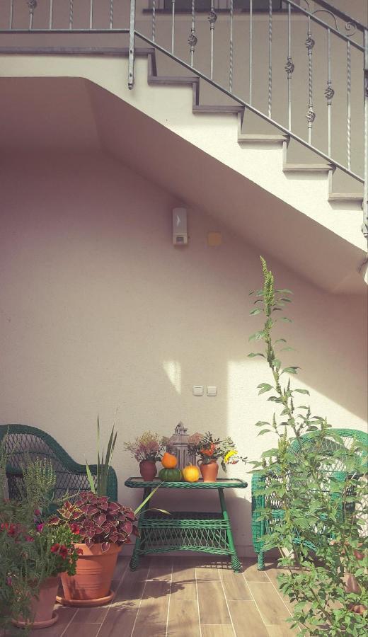 Prenocisca Angelin Hram, Tiny Apartments Markovec Exterior foto